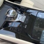 Denza D9 RHD 12