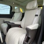 Denza D9 RHD 17