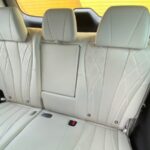 Denza D9 RHD 18