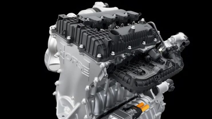 Horse H12 01